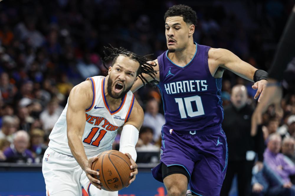 种族歧视并 种族歧视并