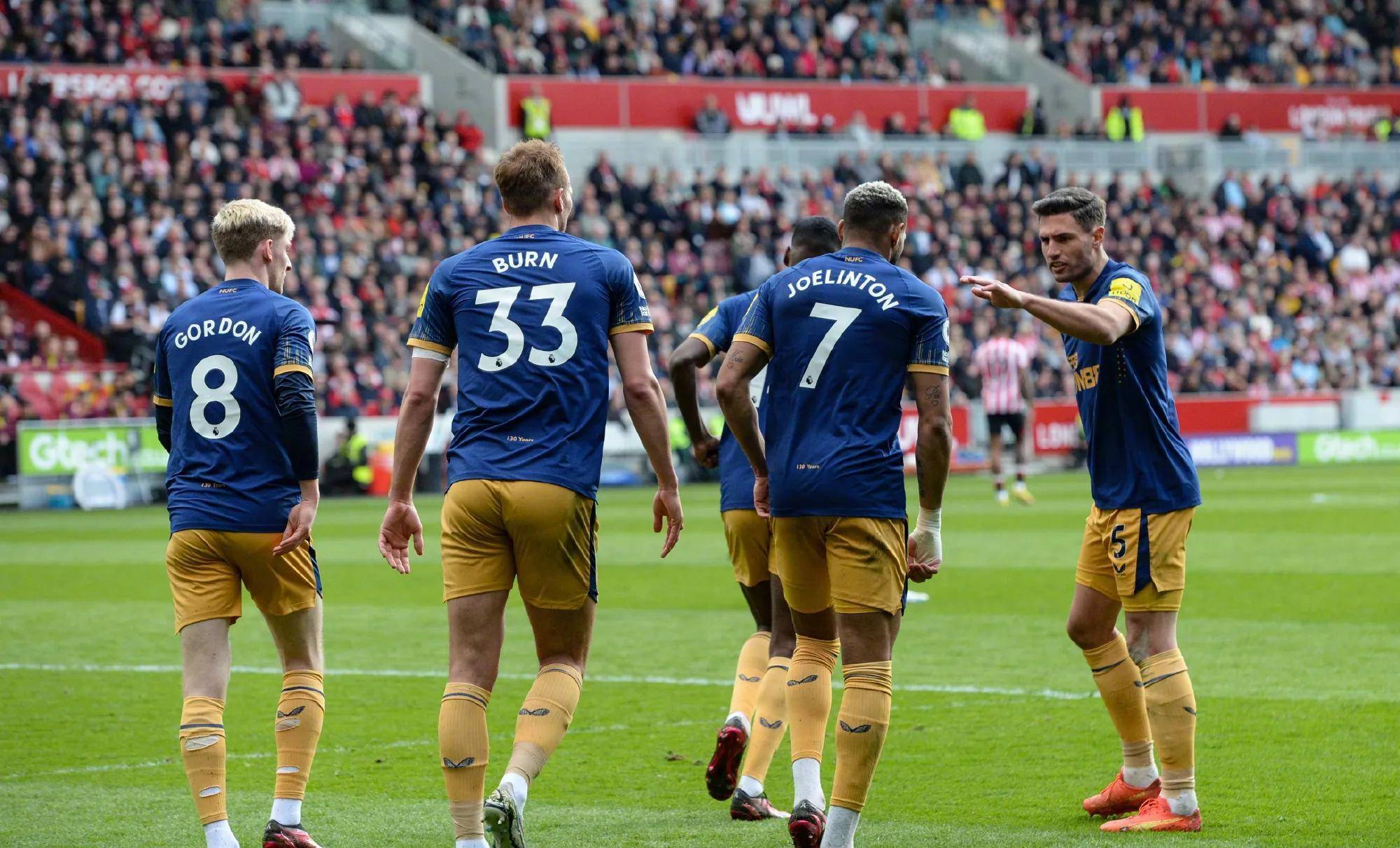 不仅能够提 不仅能够提